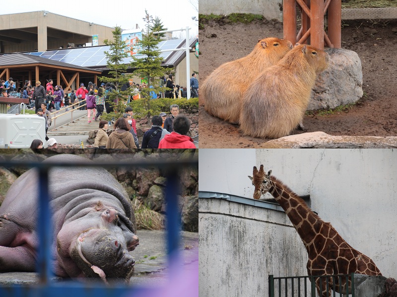 ファイル 81-5.jpg