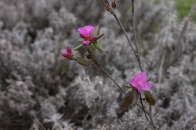 ファイル 83-4.jpg