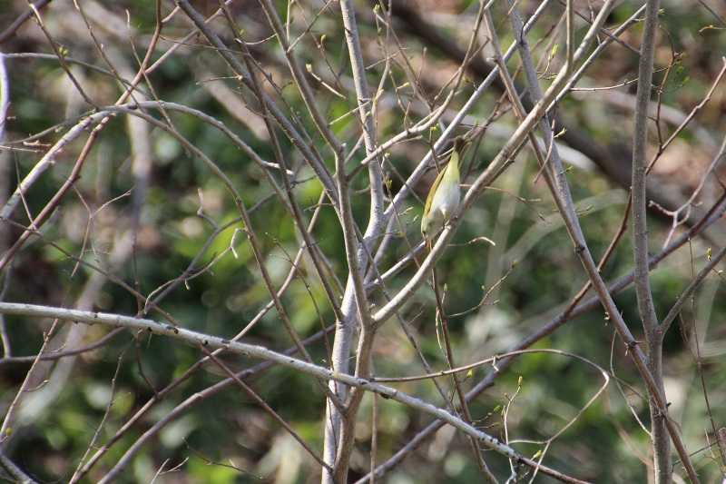 ファイル 84-4.jpg