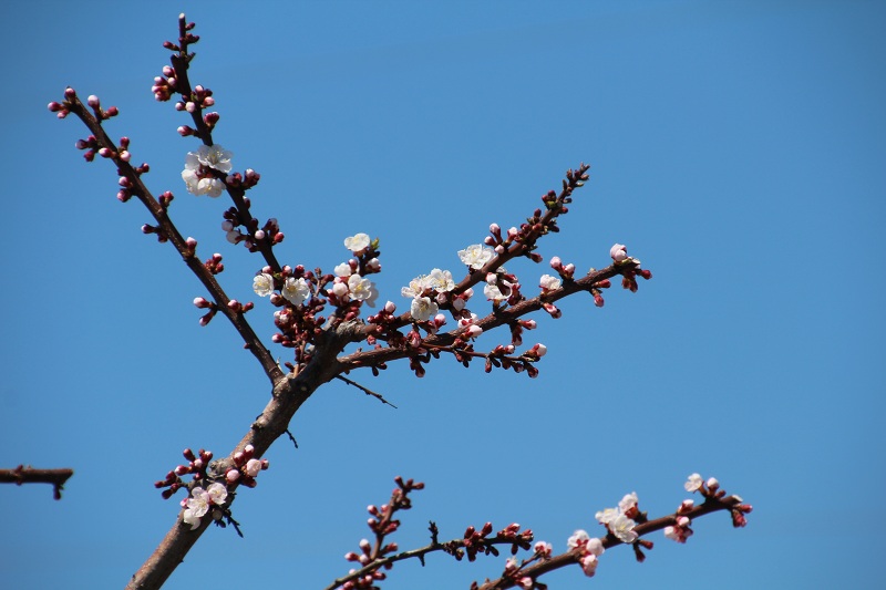 ファイル 86-5.jpg