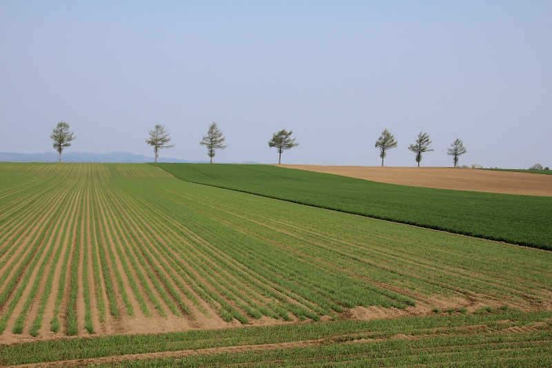 ファイル 87-2.jpg