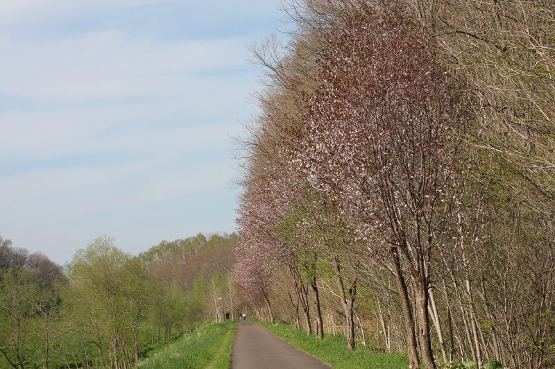 ファイル 87-3.jpg