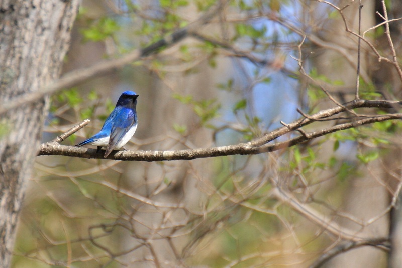 ファイル 88-3.jpg