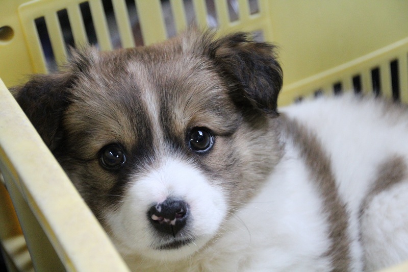 ファイル 89-2.jpg