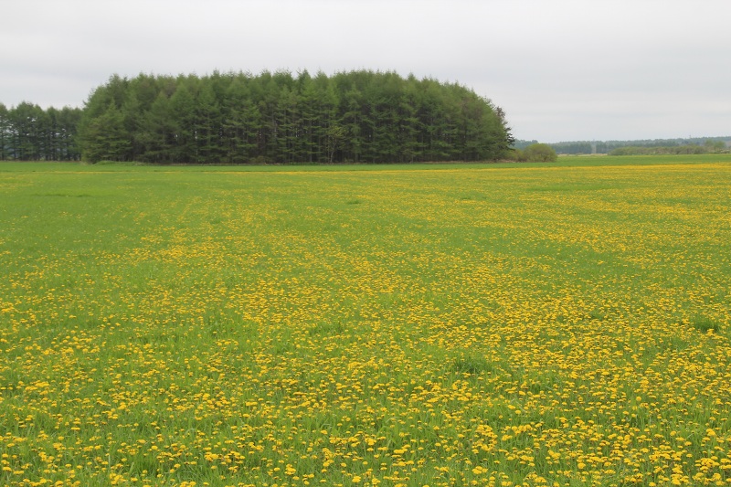 ファイル 89-4.jpg