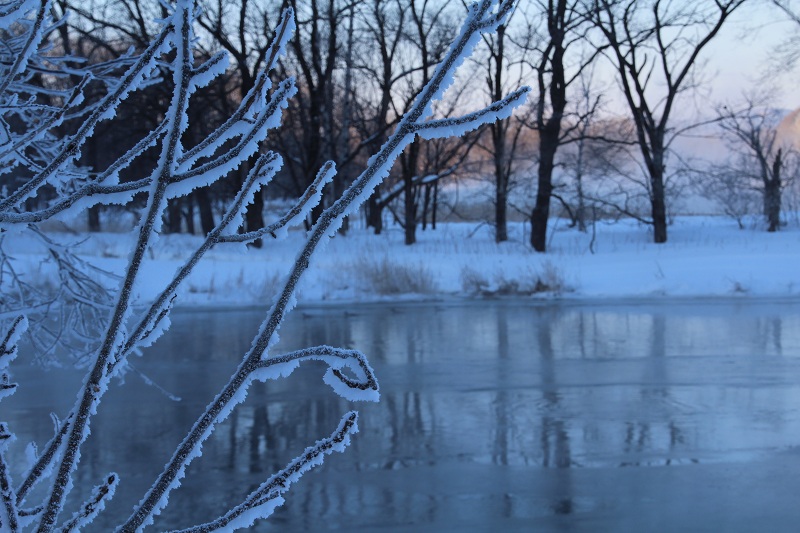 ファイル 9-3.jpg