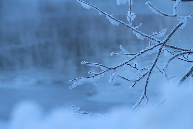 ファイル 9-4.jpg