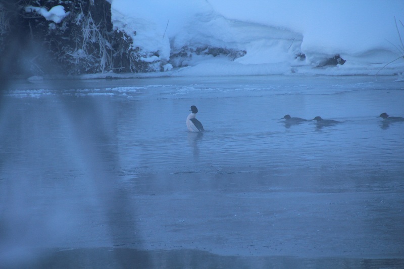 ファイル 9-5.jpg