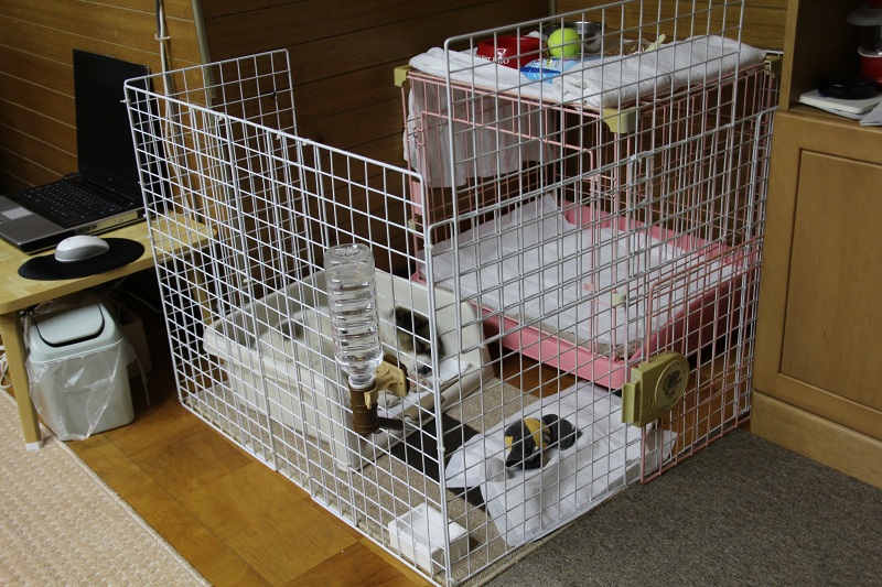 ファイル 90-5.jpg