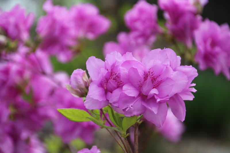 ファイル 91-2.jpg