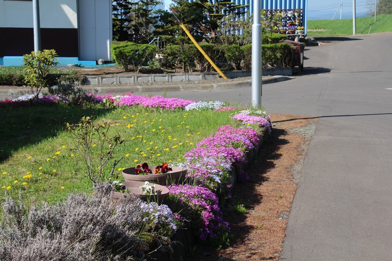 ファイル 91-4.jpg