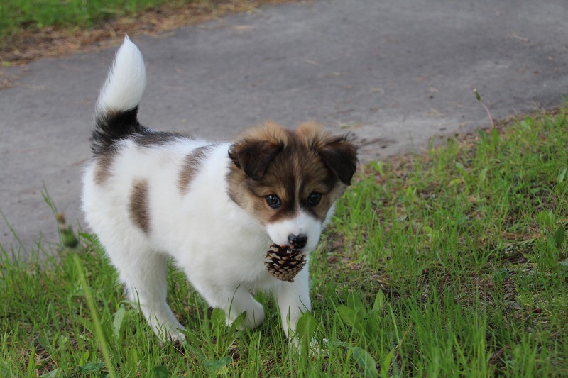 ファイル 92-1.jpg