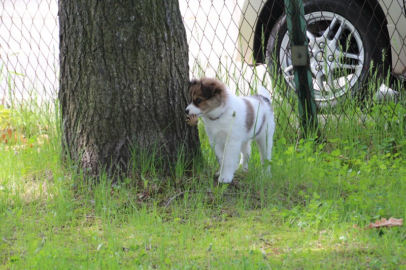 ファイル 92-2.jpg