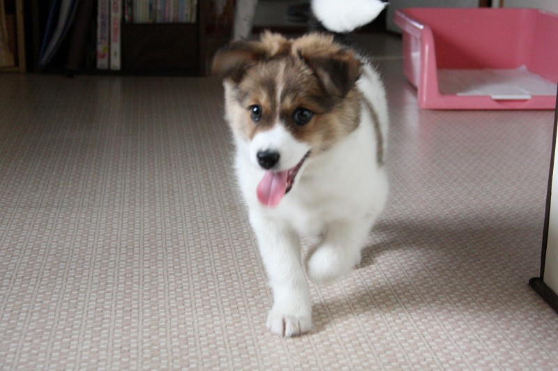 ファイル 96-1.jpg