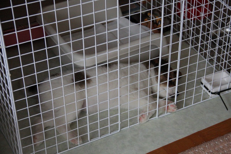 ファイル 96-2.jpg