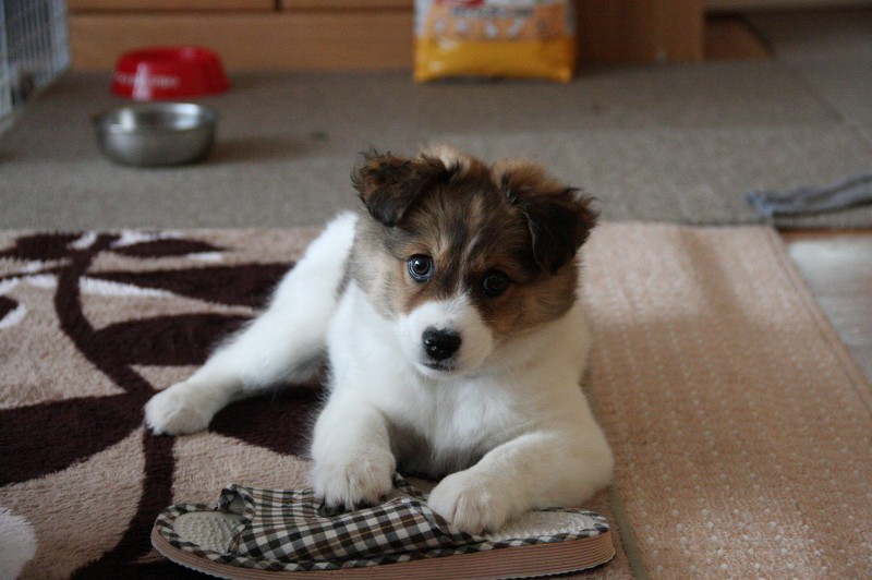 ファイル 96-3.jpg