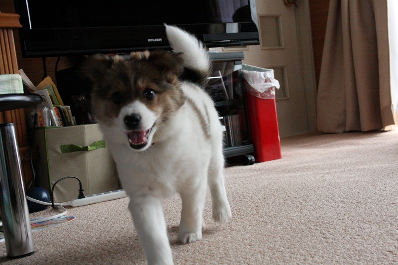 ファイル 96-4.jpg