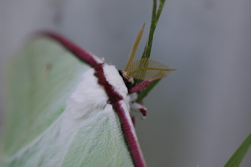 ファイル 97-1.jpg