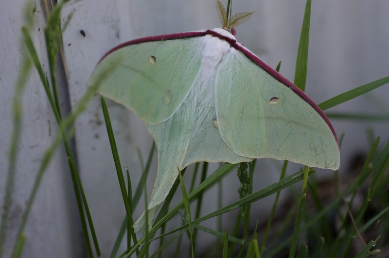 ファイル 97-2.jpg