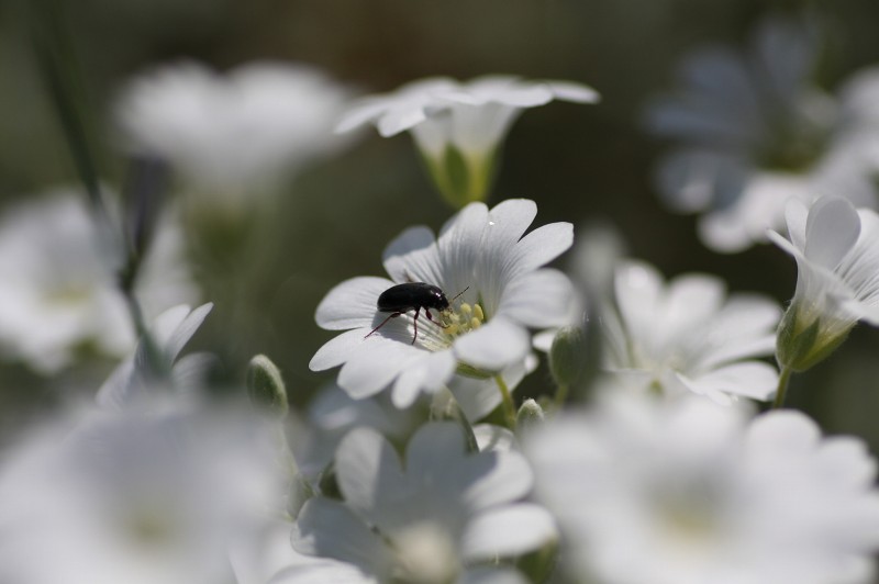 ファイル 97-3.jpg