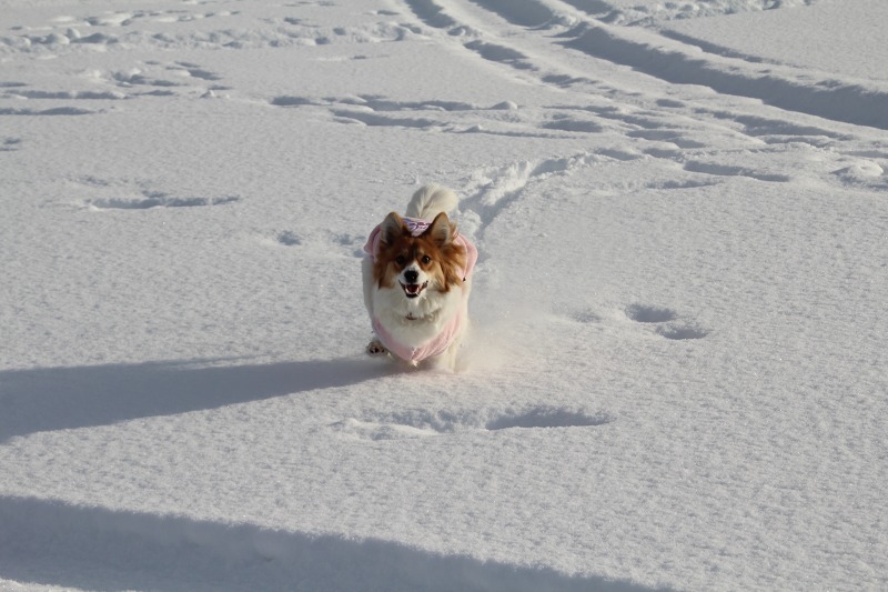 ファイル 215-3.jpg