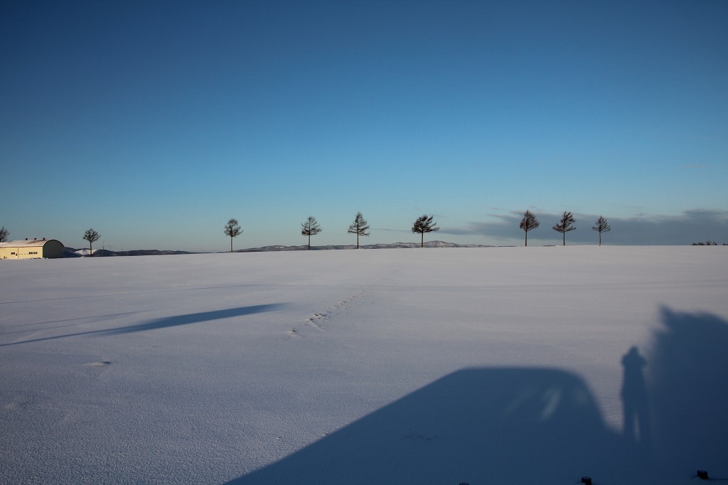 ファイル 217-3.jpg