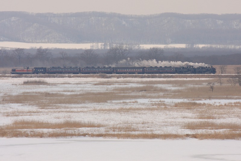 ファイル 224-1.jpg