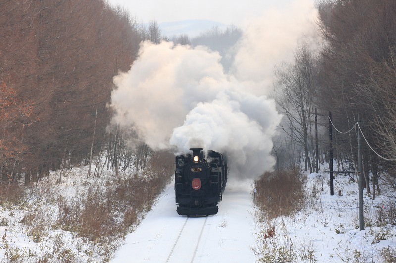 ファイル 224-5.jpg