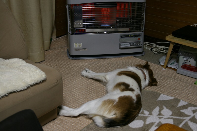 ファイル 225-1.jpg