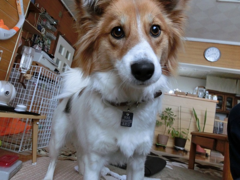 ファイル 225-2.jpg