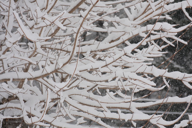 ファイル 226-1.jpg