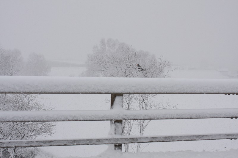 ファイル 226-2.jpg