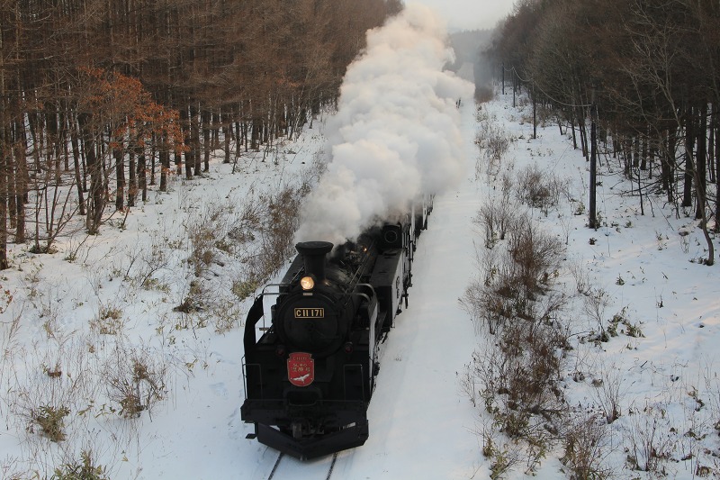 ファイル 227-4.jpg