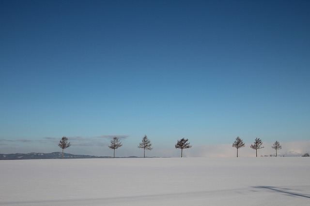 ファイル 229-4.jpg