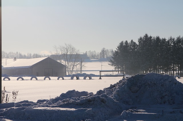 ファイル 229-5.jpg