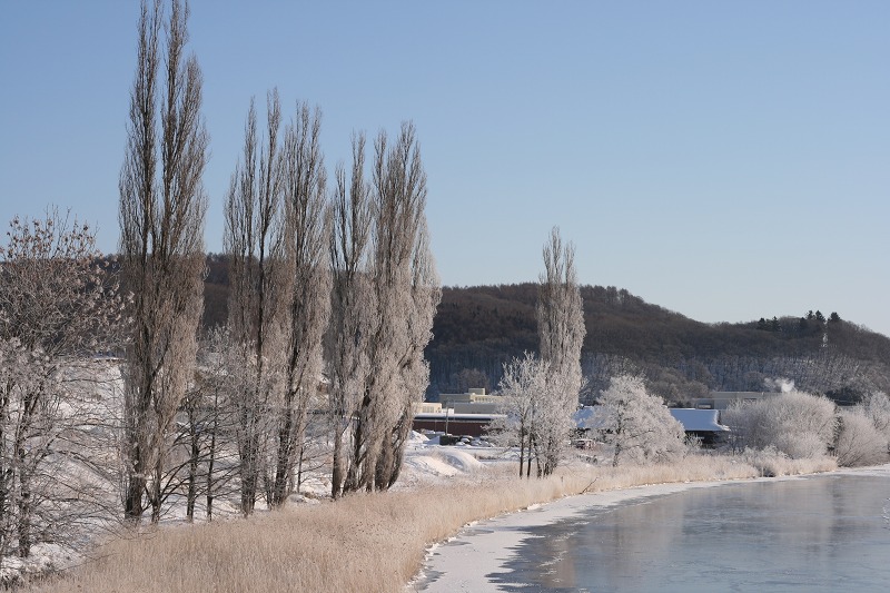 ファイル 232-2.jpg