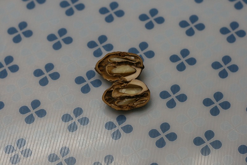 ファイル 233-3.jpg