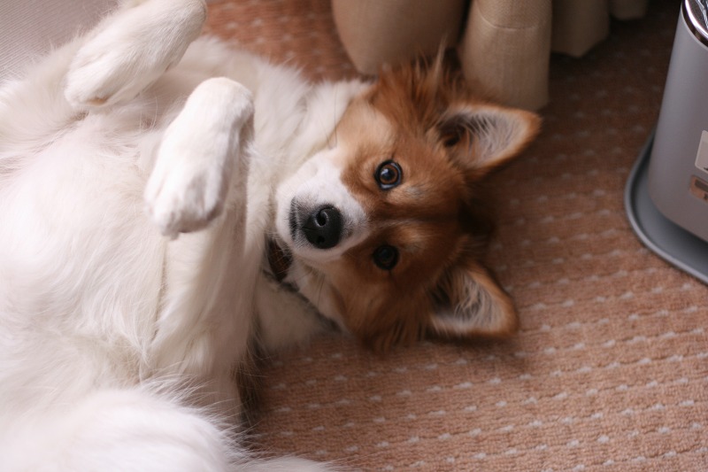 ファイル 233-4.jpg