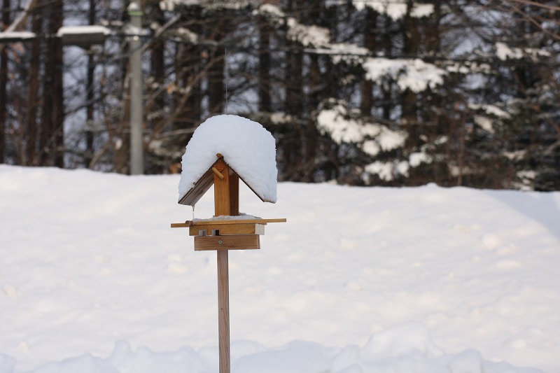 ファイル 235-1.jpg