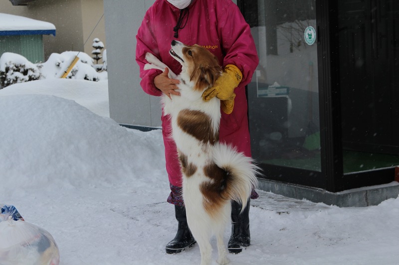 ファイル 235-2.jpg