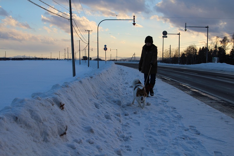 ファイル 236-2.jpg