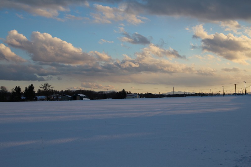 ファイル 236-3.jpg