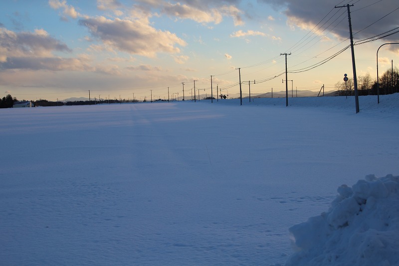 ファイル 236-4.jpg