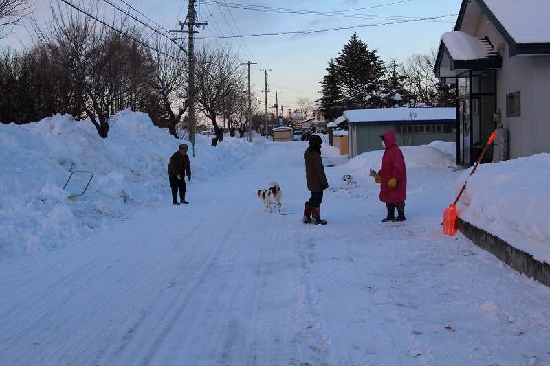 ファイル 236-5.jpg