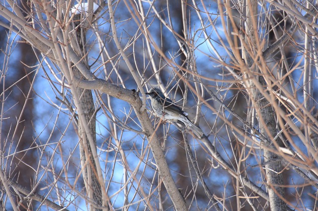 ファイル 237-2.jpg