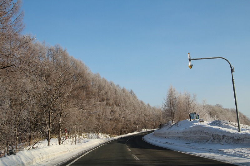 ファイル 239-1.jpg