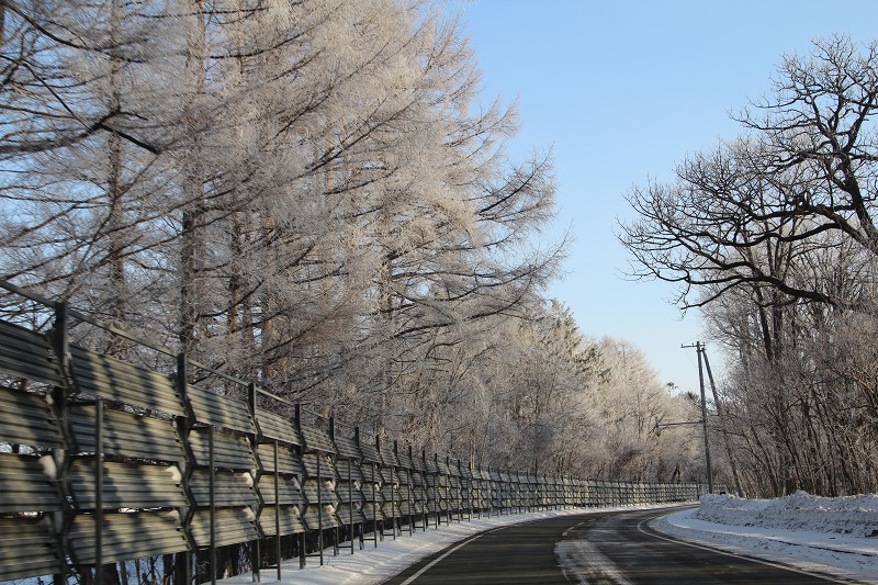 ファイル 239-2.jpg