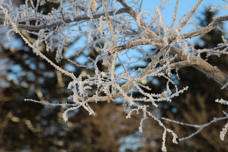 ファイル 240-1.jpg