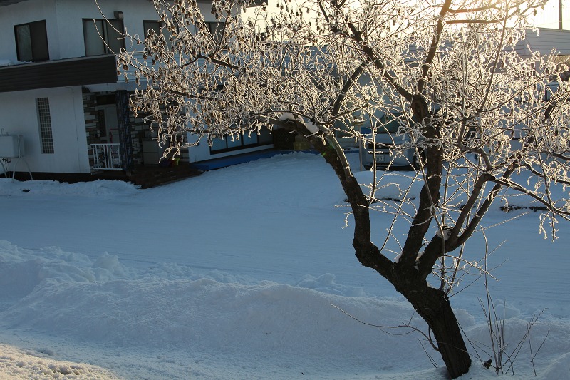 ファイル 240-4.jpg