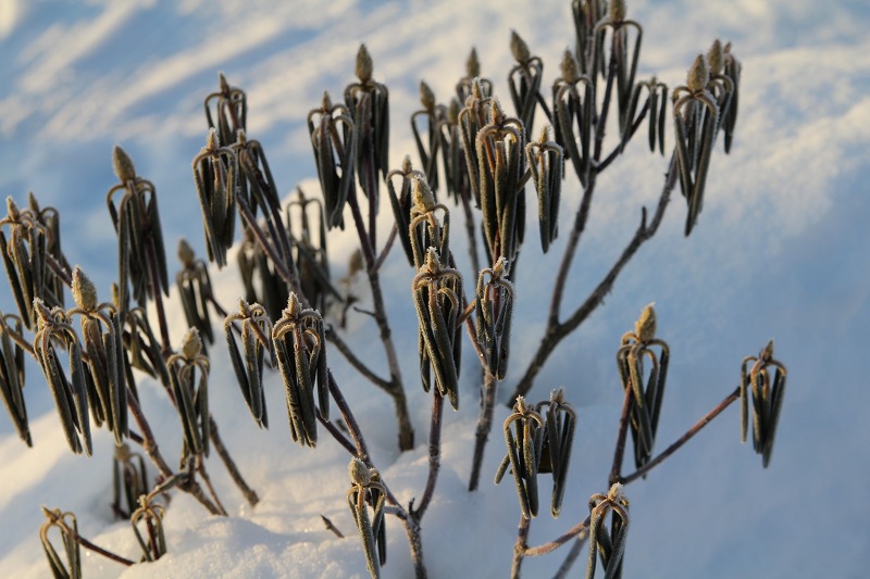 ファイル 240-5.jpg